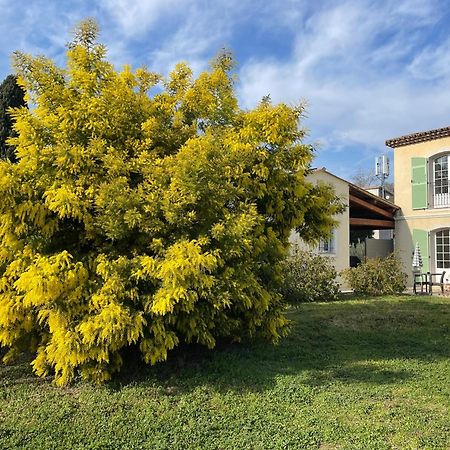 Chambre D'Hotes "La Bastide Des Eucalyptus" Antibes Exterior photo
